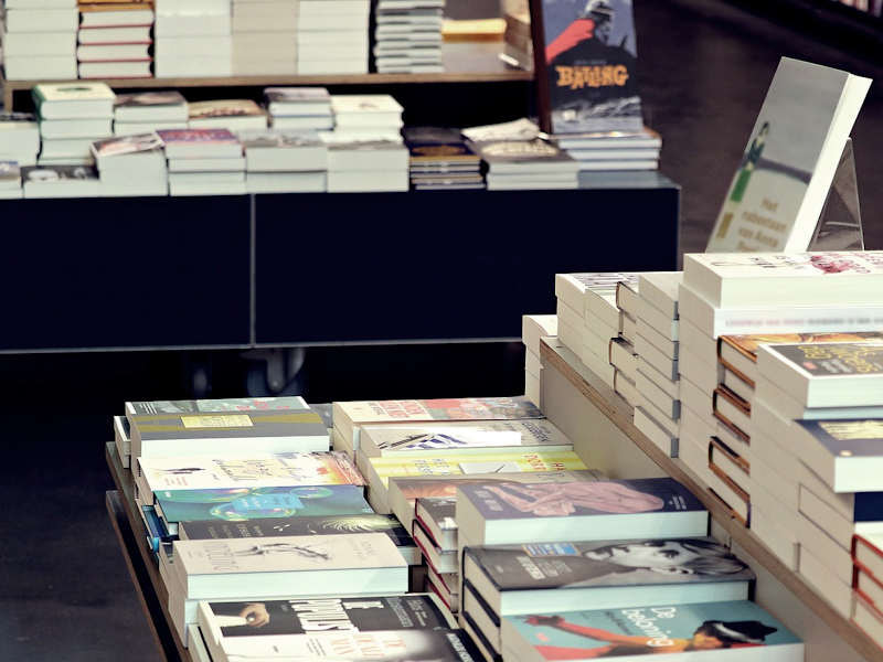 200320_Verlinden_pixaybay_library-4317851_1280__1_