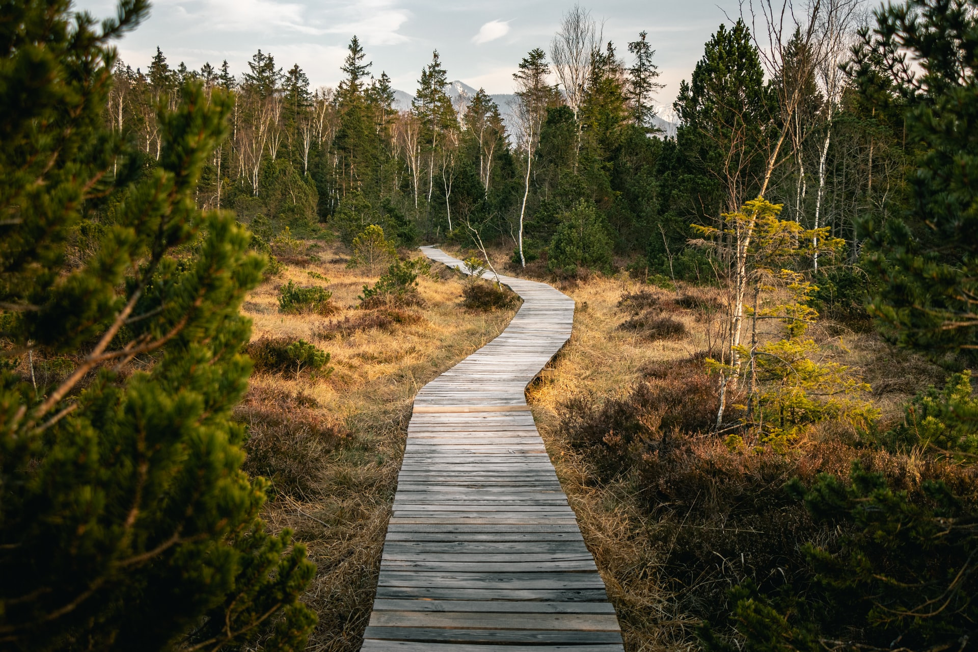 mario-dobelmann-MvrcSb7jzSw-unsplash