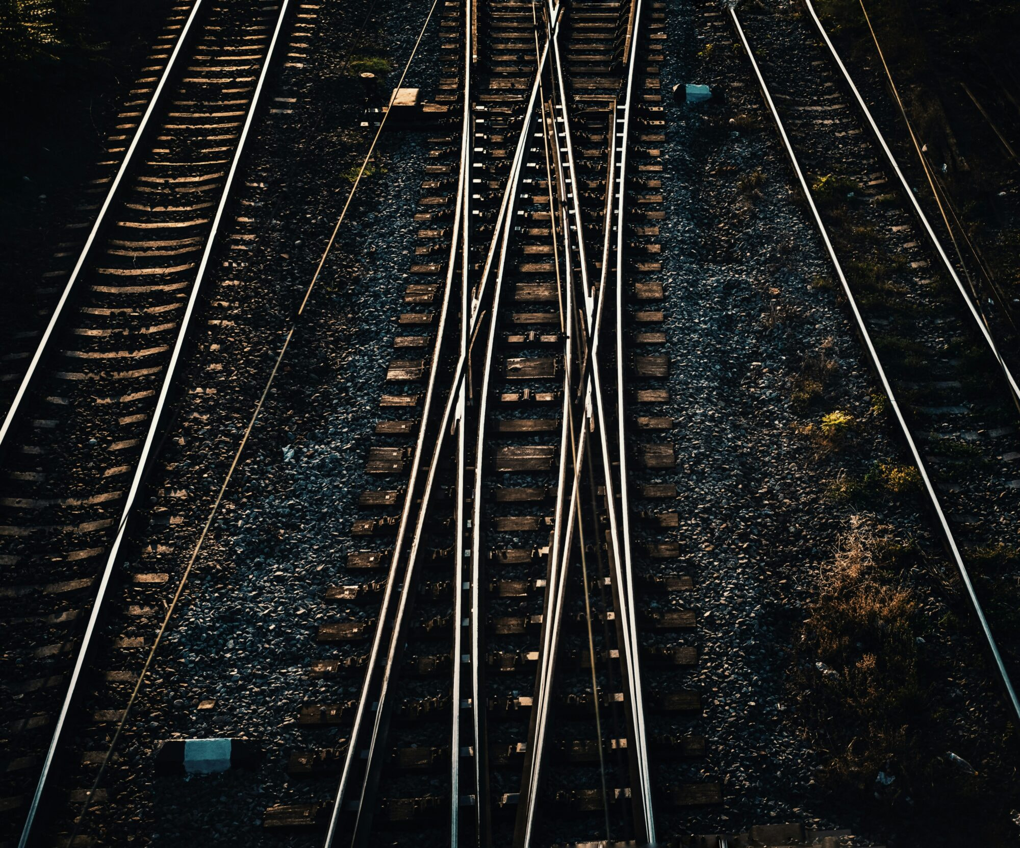 mihai-lazar-8QZz0b3wsvE-unsplash